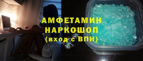 крисы Новозыбков