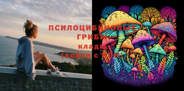 ешки Нязепетровск