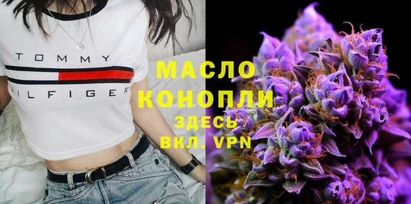 крисы Новозыбков