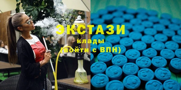 крисы Новозыбков