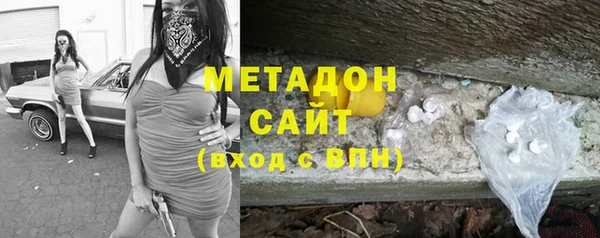 крисы Новозыбков