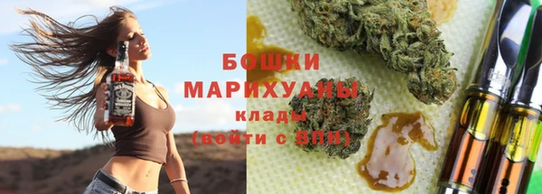 крисы Новозыбков