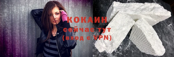 крисы Новозыбков