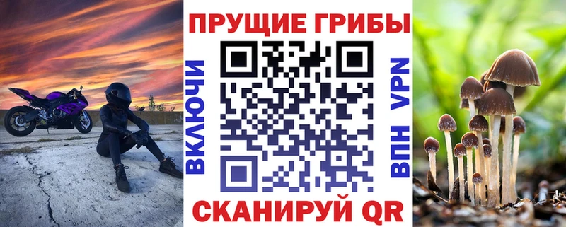 Галлюциногенные грибы Magic Shrooms  Собинка 