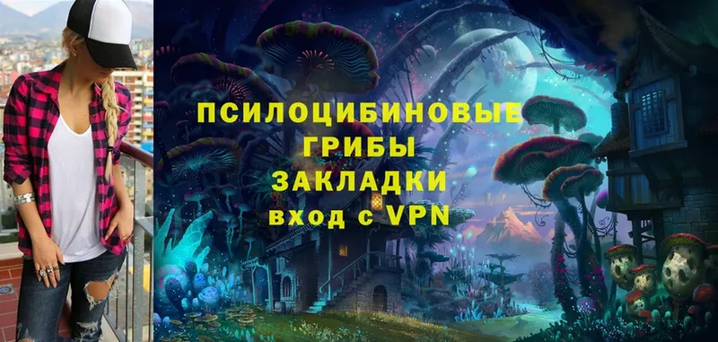 Псилоцибиновые грибы Psilocybe  наркошоп  Собинка 